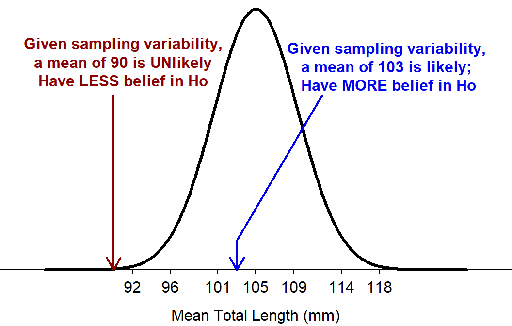 Sampling distribution of samples means of n=50 from the Square Lake population ASSUMING that &mu;=105.