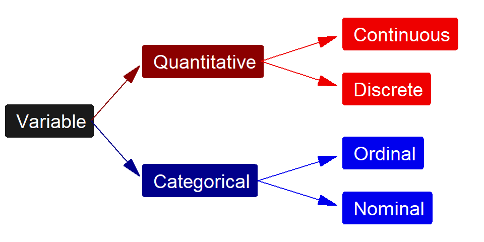 Schematic representation of the four types of variables.