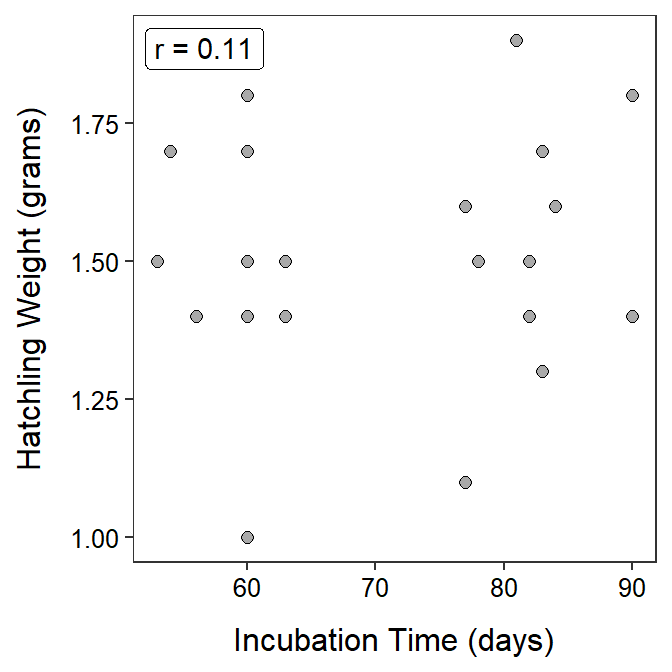 Scatterplot of hatchling weight versus incubation time for Crested Geckos.