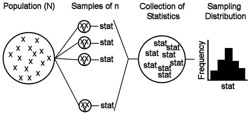Schematic representation of the process for simulating a sampling distribution.