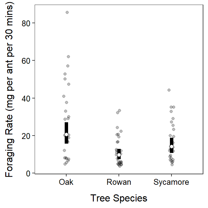 **Back-transformed** mean (with 95% confidence interval) foraging rate of ants on each tree species. The mean foraging rate differed only between Oak and Rown trees.