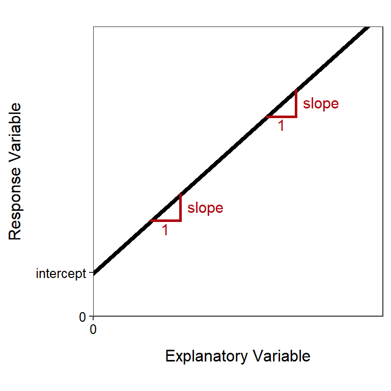 Schematic representation of the meaning of the intercept and slope in a linear equation.