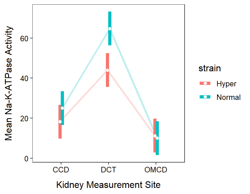 Mean Na-K-ATPase activity for each combination of rat strain and kidnety measurement site.