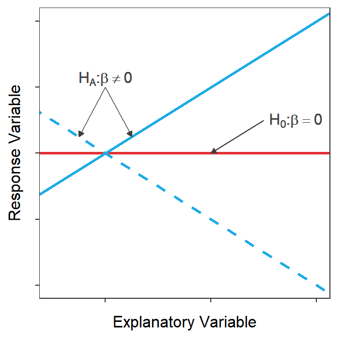 Demonstration of what the best-fit lines would like for the null hypothesis that the slope is zero or there is no relationship between Y and X (red) or the alternative hypothesis that the slope is not zero and there is a relationship between Y and X (blue). Note that two possibilities are shown for the alternative hypothesis because the slope could be positive (solid) or negative (dashed)